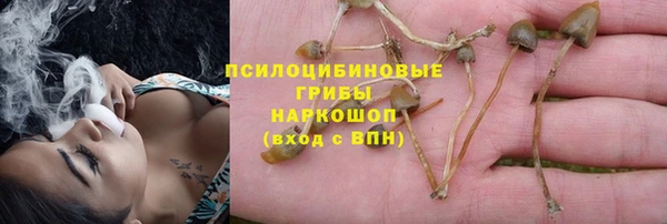 гашик Алексеевка