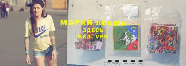 гашик Алексеевка