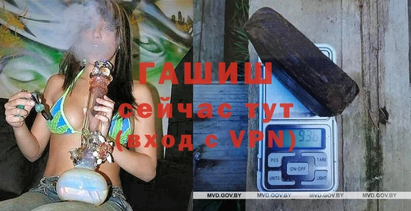 гашик Алексеевка