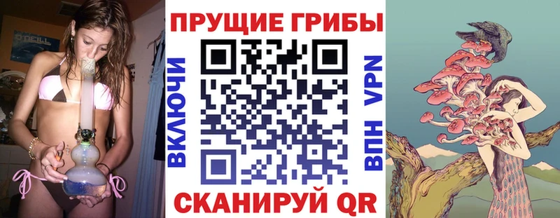 Галлюциногенные грибы мицелий  Алушта 